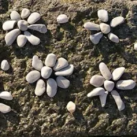 contenu-page-le-cosse-art-environnement-marin Art et environnement marin