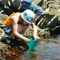 contenu-page-le-cosse-environnement-marin Environnement marin